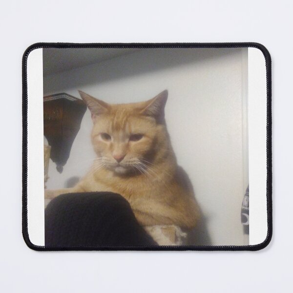 Item preview, Orange Tabby designed and sold by Michael Snell.