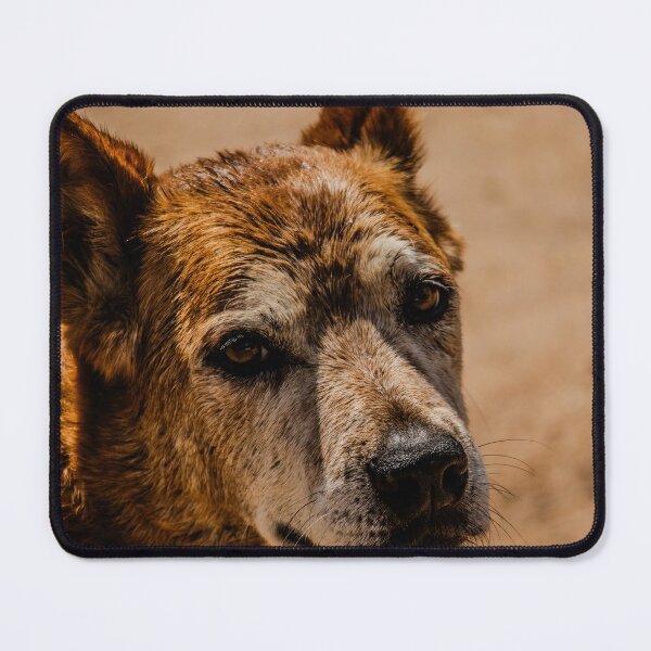 Item preview, Good old red dog designed and sold by CMFMediaOz.