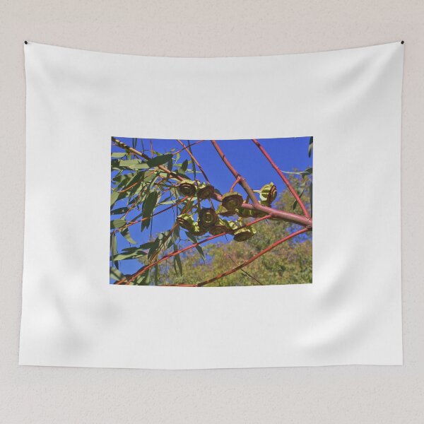 Item preview, Kingsmill Mallee Eucalyptus designed and sold by lezvee.