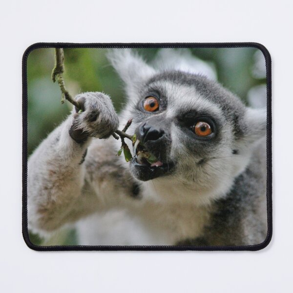 Item preview, You Wanna Take a Picture! designed and sold by Ladymoose.