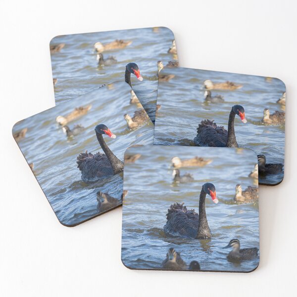 Item preview, Black swan with a dash of ducks and coots - swan designed and sold by Tara Smithson.