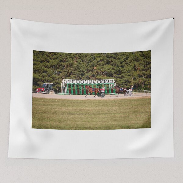Item preview, Horses trotter breed in motion on hippodrome, Harness horse racing designed and sold by goceris.