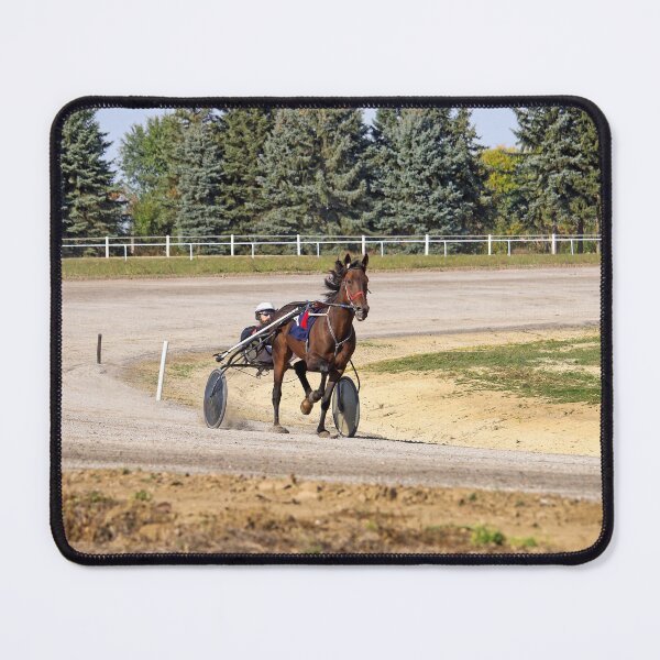 Item preview, Horse trotter breed in motion on hippodrome designed and sold by goceris.