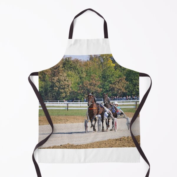 Aperçu de l'œuvre Courses de chevaux attelés, race de trotteurs de chevaux en mouvement créée et vendue par goceris.