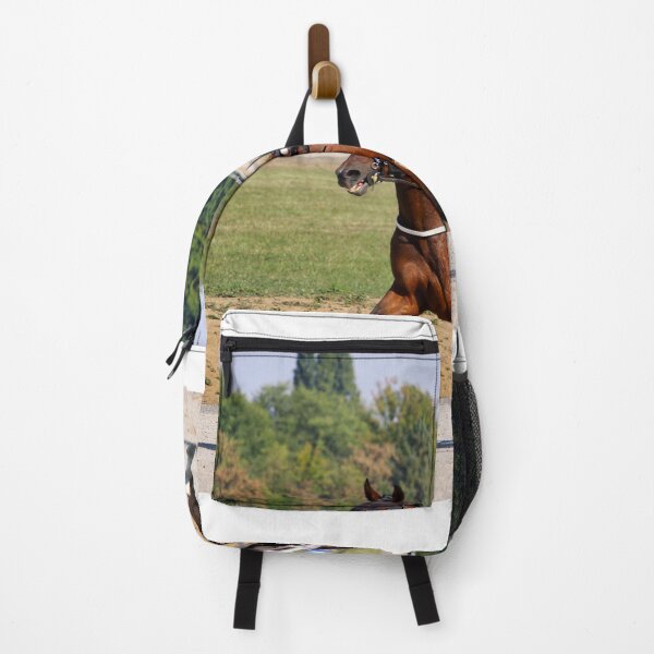 Item preview, Competitions for trotting horse racing designed and sold by goceris.
