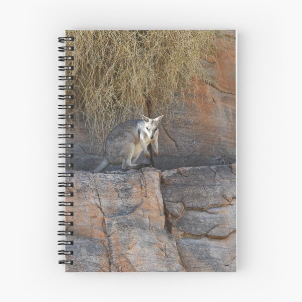 Item preview, A rock wallaby peering over a ledge, with grasses above him. designed and sold by EAnneH.