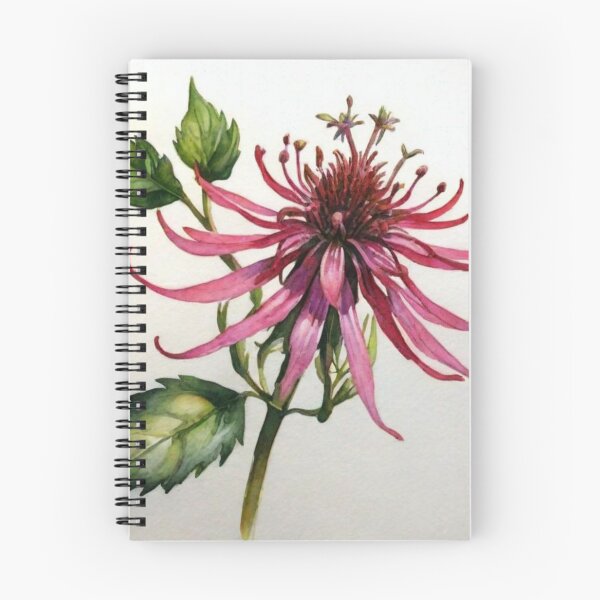 Item preview, Monarda designed and sold by Lachrymosa.