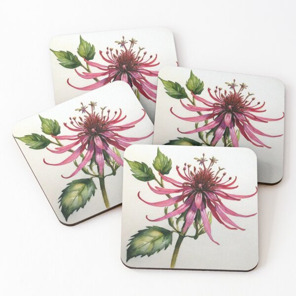 Item preview, Monarda designed and sold by Lachrymosa.