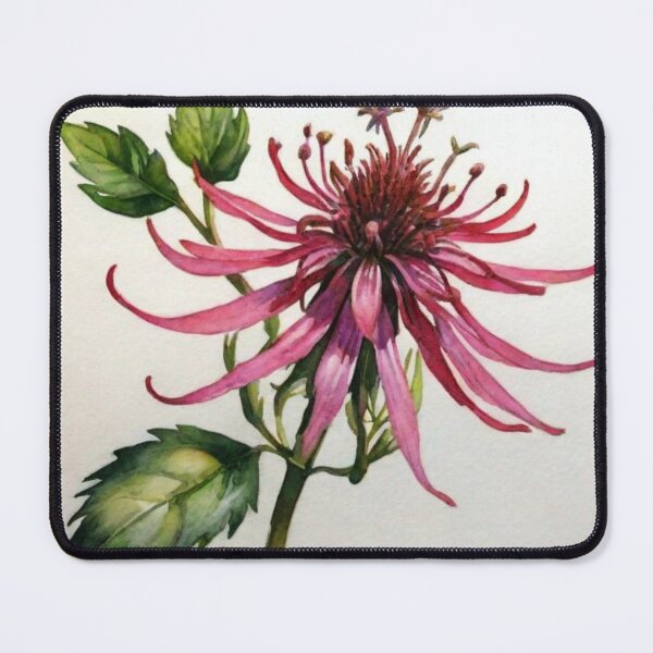Item preview, Monarda designed and sold by Lachrymosa.