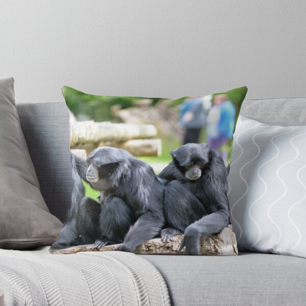 Item preview, Siamang Gibbon family relaxing in fota wildlife park designed and sold by morrbyte.