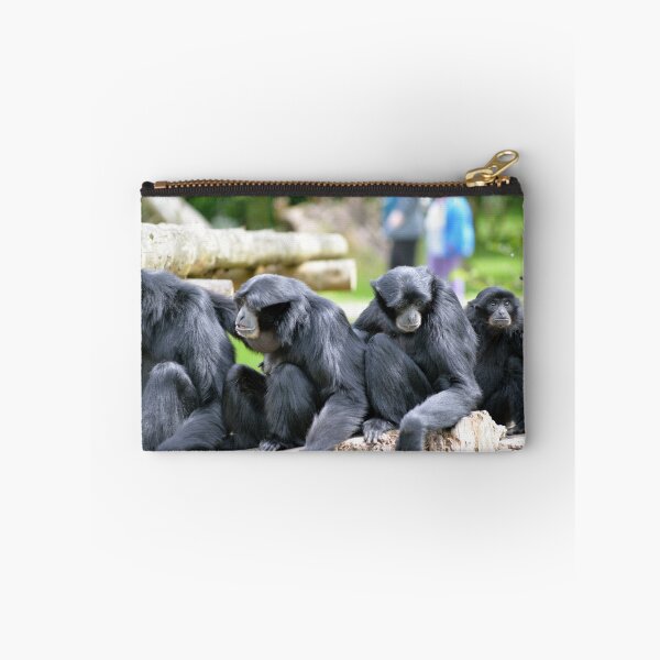 Item preview, Siamang Gibbon family relaxing in fota wildlife park designed and sold by morrbyte.