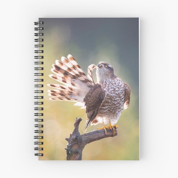 Item preview, Sparrowhawk #1 designed and sold by Dominika Aniola.