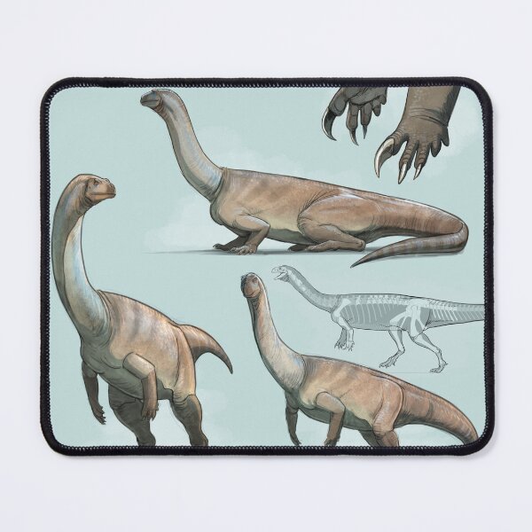 Item preview, Yunnanosaurus Anatomical Study: Exploring Prehistoric Structure designed and sold by Paleo-parallax.