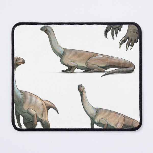 Item preview, Yunnanosaurus Anatomical Study Stickers: Exploring Prehistoric Structure designed and sold by Paleo-parallax.
