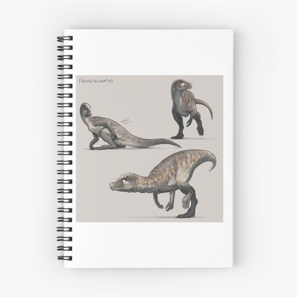 Item preview, Herrerasaurus Anatomy studies designed and sold by Paleo-parallax.