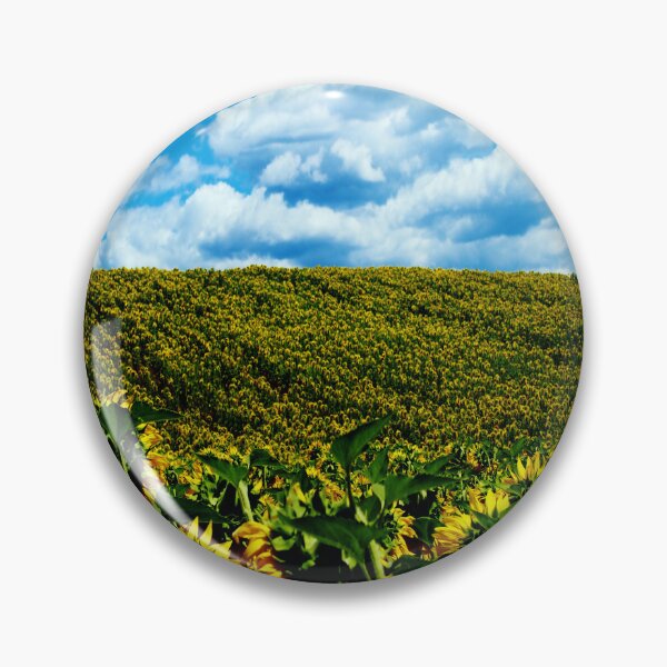 Item preview, Sunflower field designed and sold by from Carbonizzo.