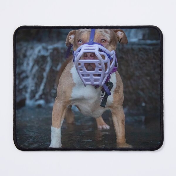 Item preview, Nova Merchandise designed and sold by Zephyr Dakota.