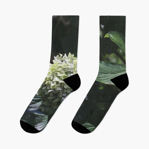 Item preview, hydrangeas . designed and sold by diana rogagels.