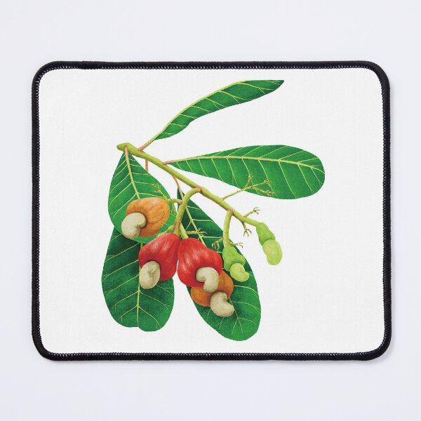 Item preview, Cashew Nuts designed and sold by ShowkoYamanaka.