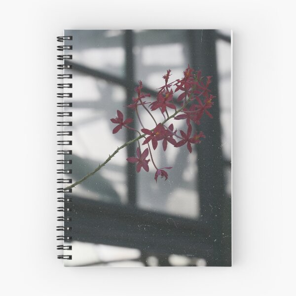 Item preview, pink flowers .  designed and sold by diana rogagels.