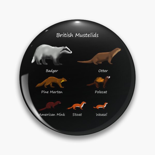 Item preview, British Mustelids - Mammals designed and sold by SteveEvansArt.