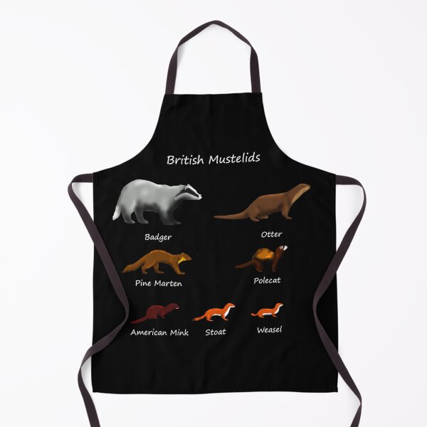 Item preview, British Mustelids - Mammals designed and sold by SteveEvansArt.