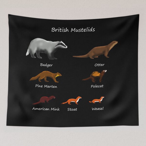 Item preview, British Mustelids - Mammals designed and sold by SteveEvansArt.
