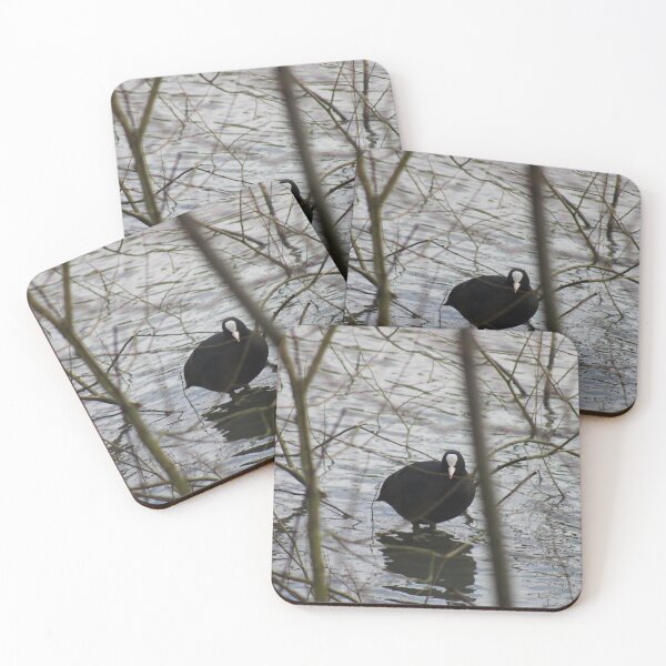 Item preview, Coot bird designed and sold by Colourful Wonderful.