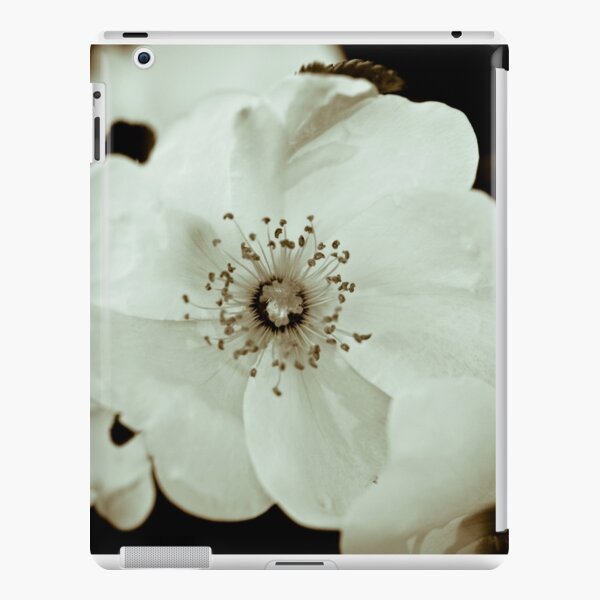 Wild Roses iPad Snap Case