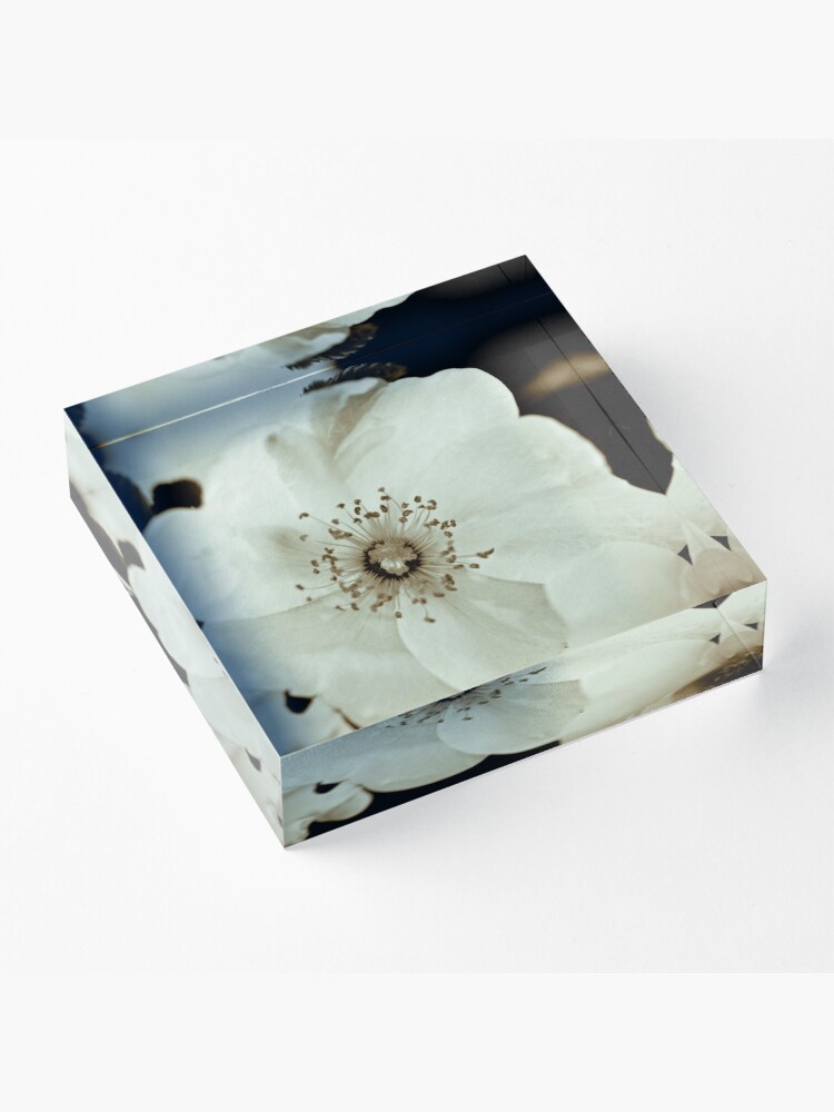 Alternate view of Wild Roses Acrylic Block