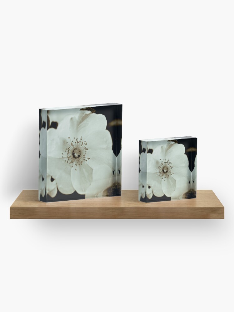 Alternate view of Wild Roses Acrylic Block