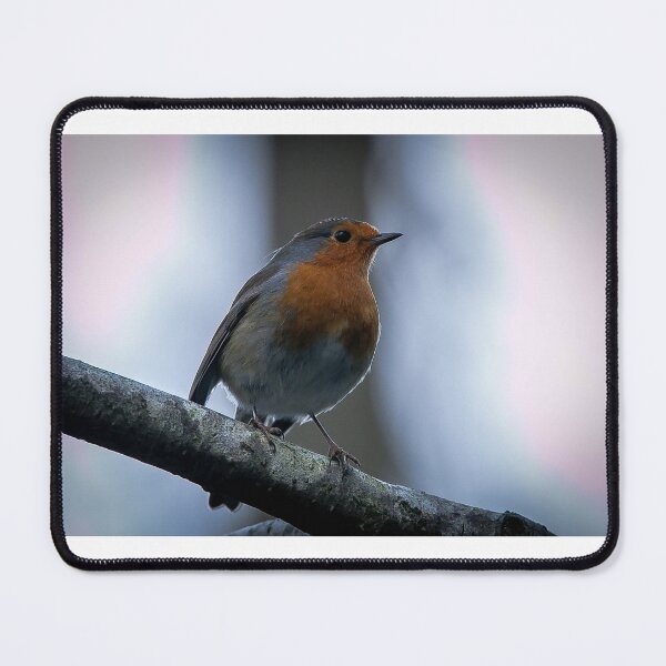 Item preview, Winter Robin designed and sold by Mothboybrown.