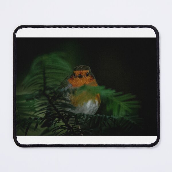 Item preview, Resting Robin designed and sold by Mothboybrown.