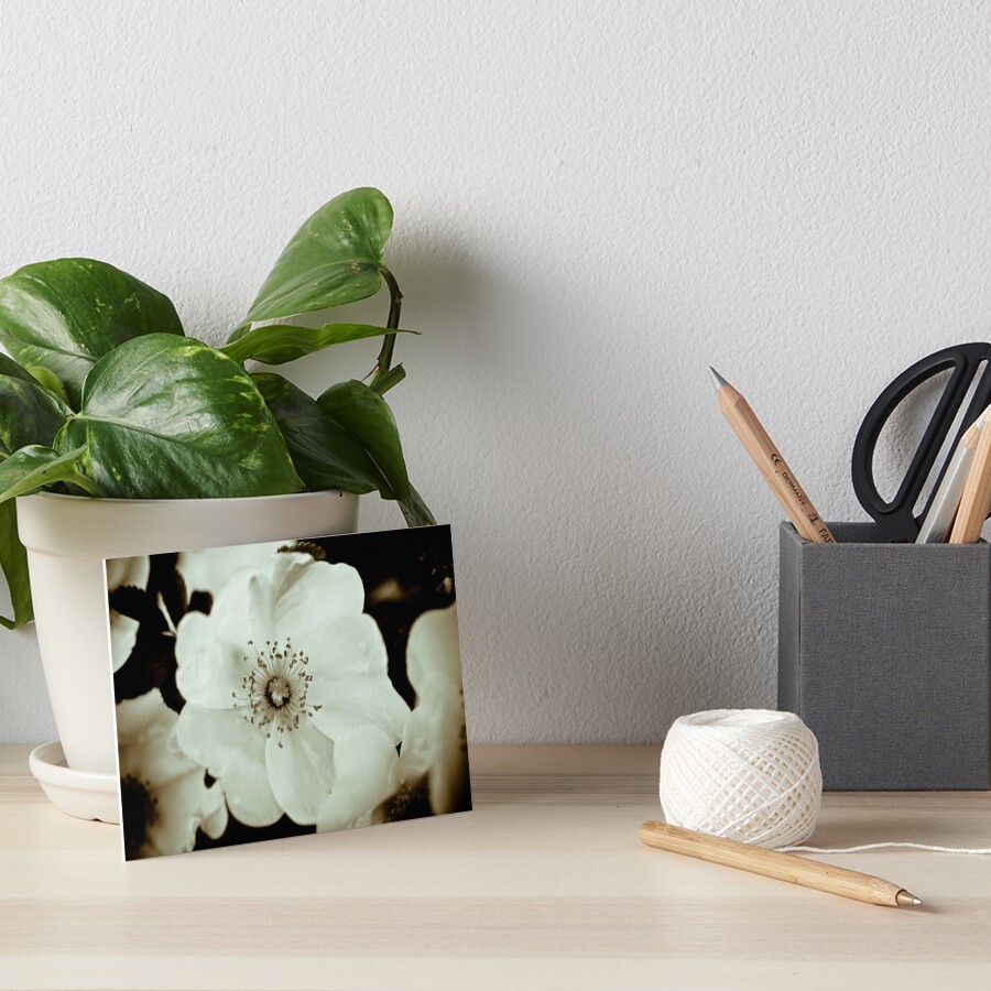 Wild Roses Art Board Print