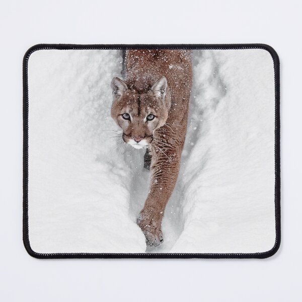 Item preview, Deep Snow Cougar designed and sold by WesDotPhotography.