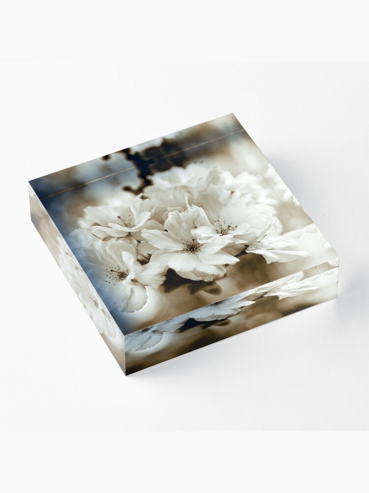 Alternate view of Sakura Acrylic Block