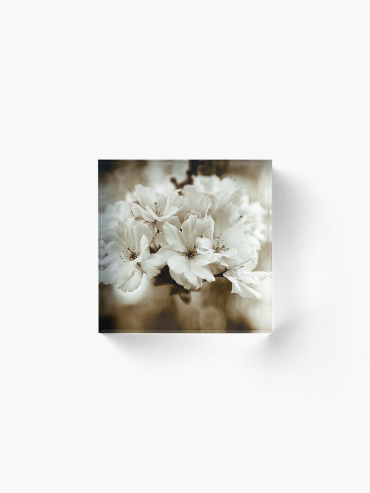 Alternate view of Sakura Acrylic Block