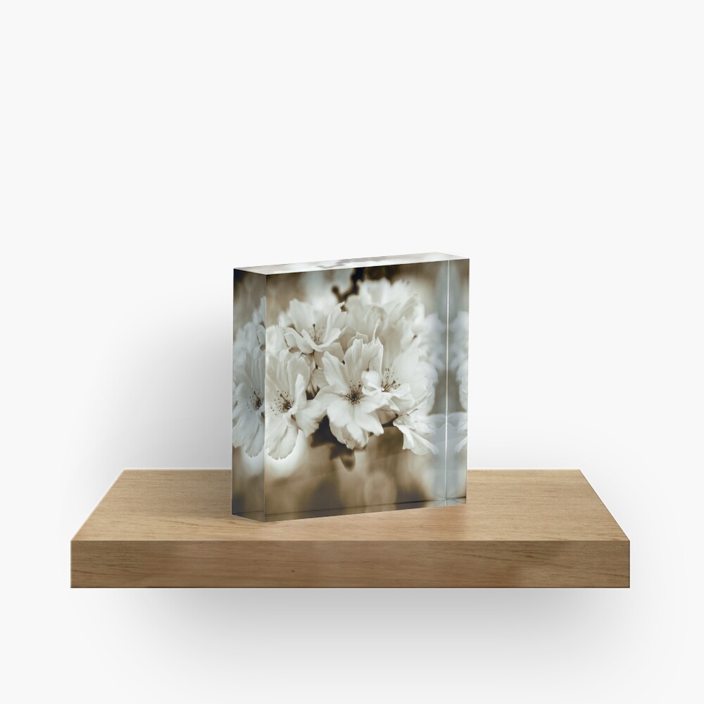 Sakura Acrylic Block