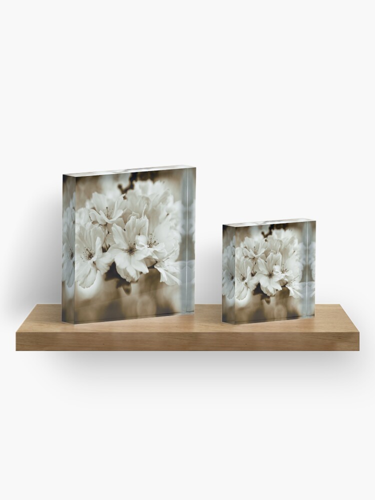 Alternate view of Sakura Acrylic Block