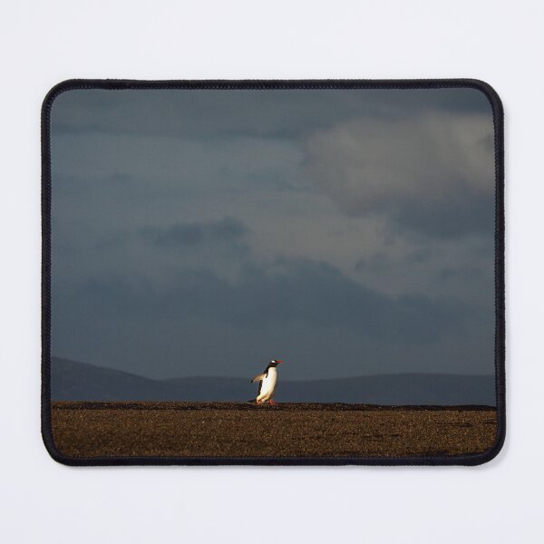 Item preview, Lonely Penguin designed and sold by FormigaArt.