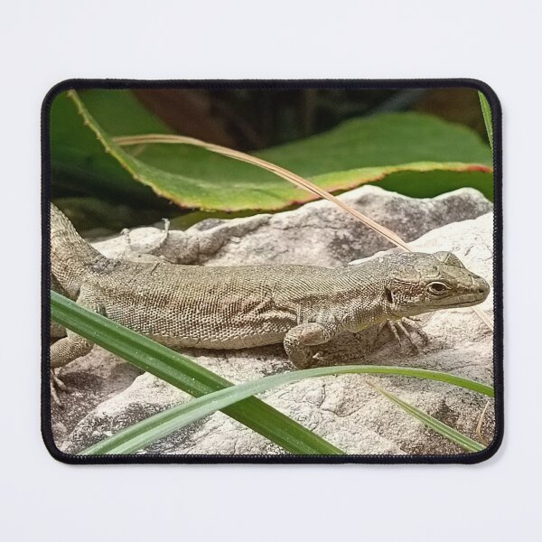 Item preview, garden lizard designed and sold by Stillherex.com Stillherex.es.