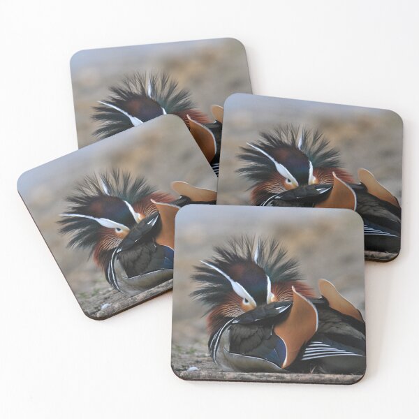 Item preview, Mandarin Duck 'Mohawk' designed and sold by LJarts.
