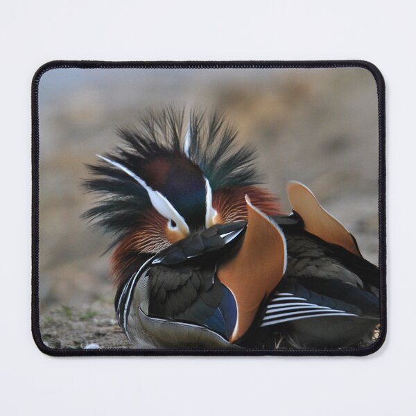 Item preview, Mandarin Duck 'Mohawk' designed and sold by LJarts.