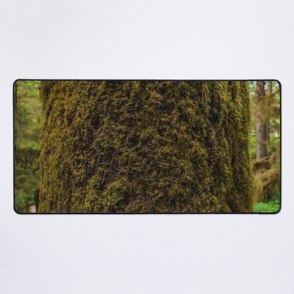 Item preview, A tree covered with thick moss designed and sold by CineWanderlust.