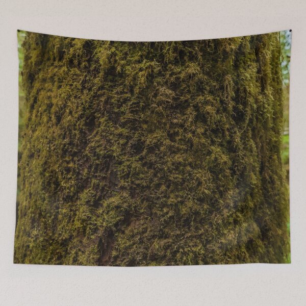 Item preview, A tree covered with thick moss designed and sold by CineWanderlust.