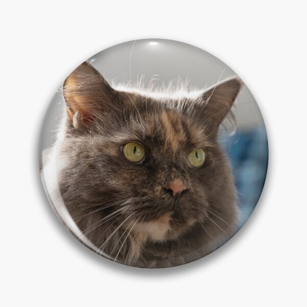 Item preview, Calico Cat Portrait Three Quarter View designed and sold by CheekyChameleon.