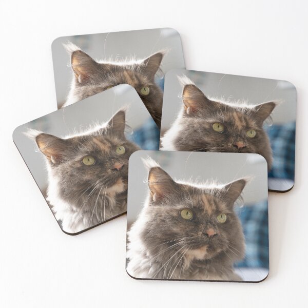 Item preview, Calico Cat Portrait Three Quarter View designed and sold by CheekyChameleon.