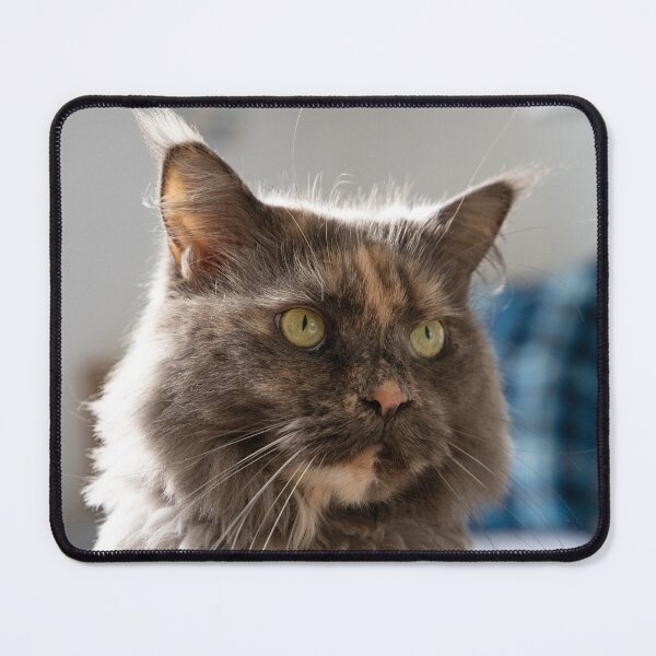 Item preview, Calico Cat Portrait Three Quarter View designed and sold by CheekyChameleon.