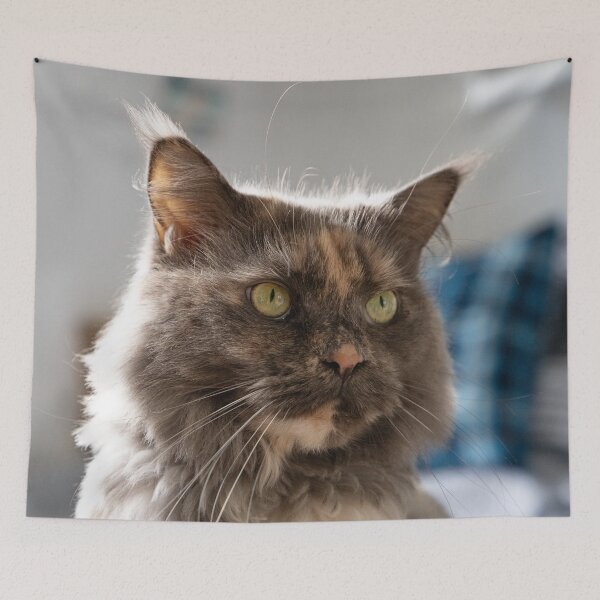 Item preview, Calico Cat Portrait Three Quarter View designed and sold by CheekyChameleon.