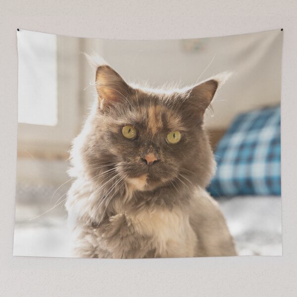 Item preview, Calico Cat Portrait designed and sold by CheekyChameleon.